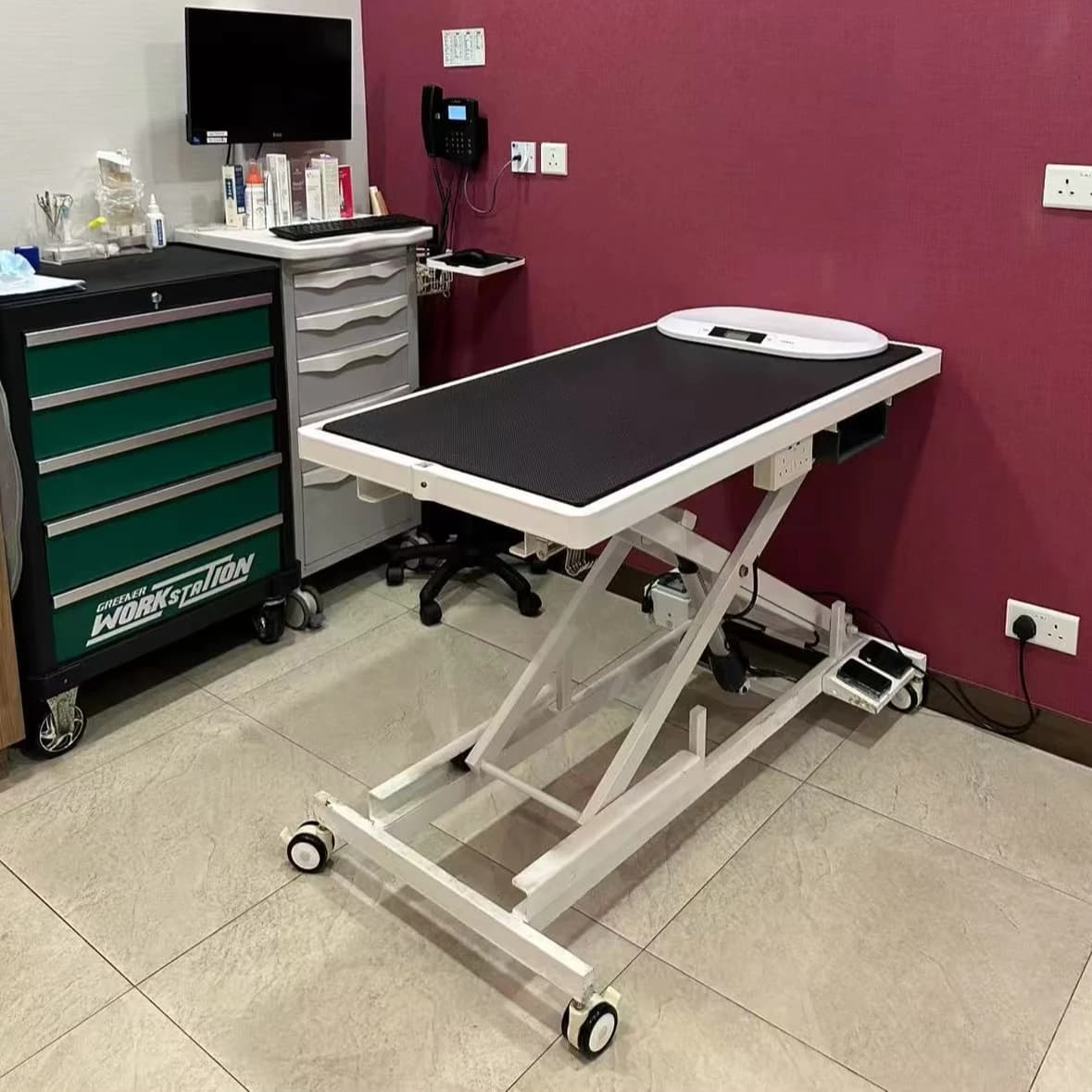 Toelettatura multiuso per animali domestici/medico/trasporto Pet elettrico con sollevamento incrociato grande