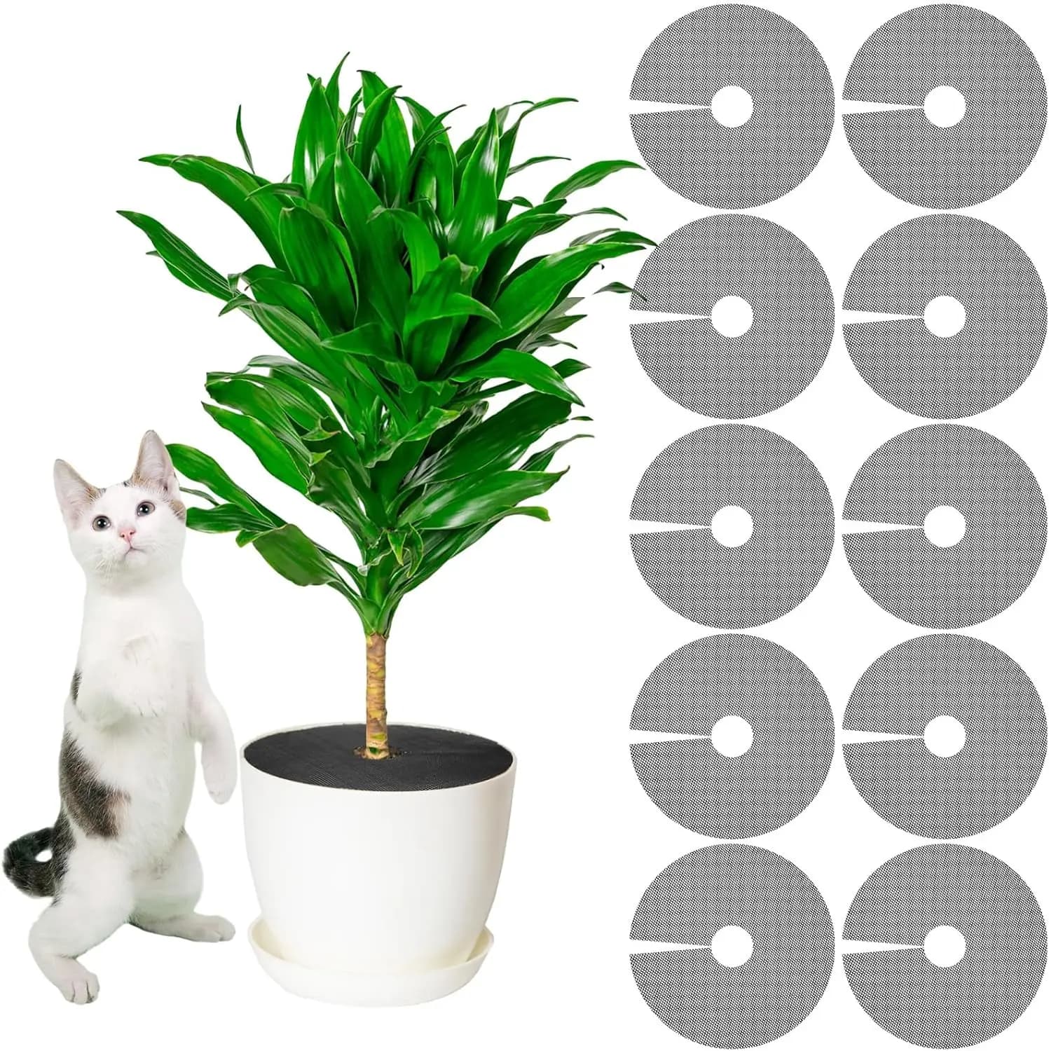 10 Pezzi Coperture Protettive per Vasi da 12'' con Griglia Rinforzata per Giardino Interno ed Esterno, Protezione Anti-Scavo per Gatti