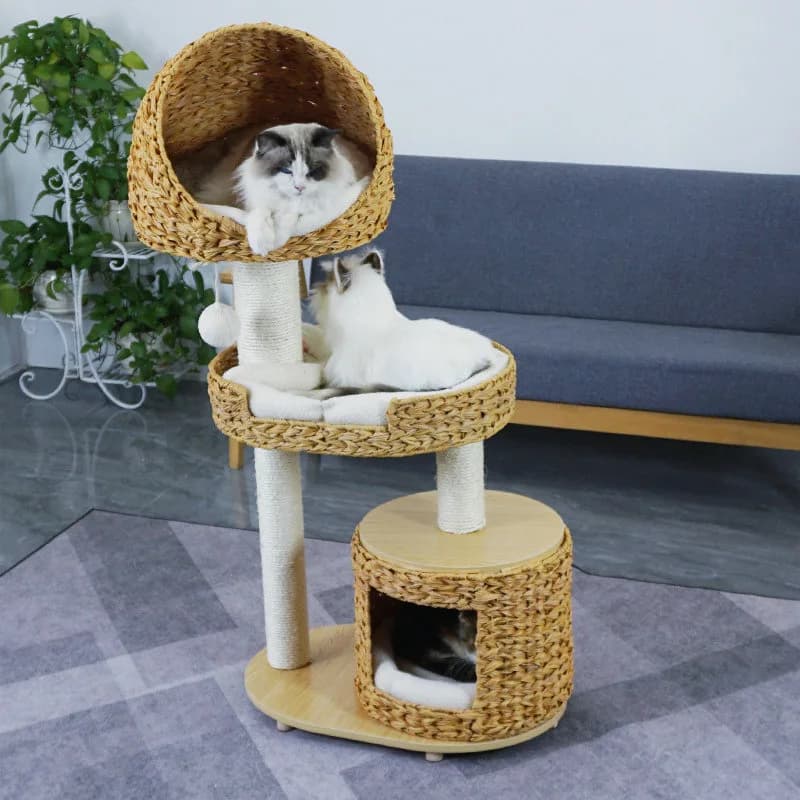 Esportazione di Struttura per Arrampicata per Gatti in Legno Massello Tedesco con Rattan, Nido per Gatti, Albero con Tiragraffi in Sisal e Piattaforma di Salto