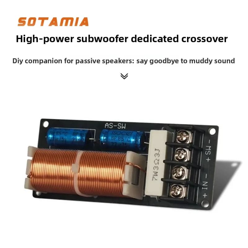 SOTAMIA Subwoofer passivo ad alta potenza Subwoofer crossover dedicato Febbre Altoparlante HIFI Scatola audio Bluetooth Home Theater