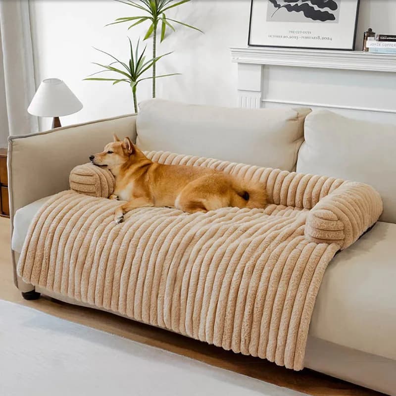 Cuccia per Cani Staccabile e Lavabile, Letto per Animali Domestici, Divano per Animali, Cuccia Calda e Morbida per Cani e Gatti, Accessori per Animali Domestici, Arredamento per la Casa