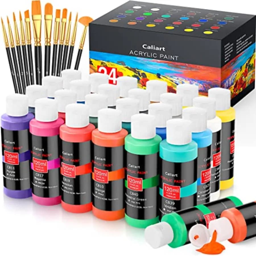 Acrylic Paint Set With 12 Brushes, 24 Colors 120ml, 4oz Art Craft Paints for Adults Artists Beginners Painters, Canvas Ceramic