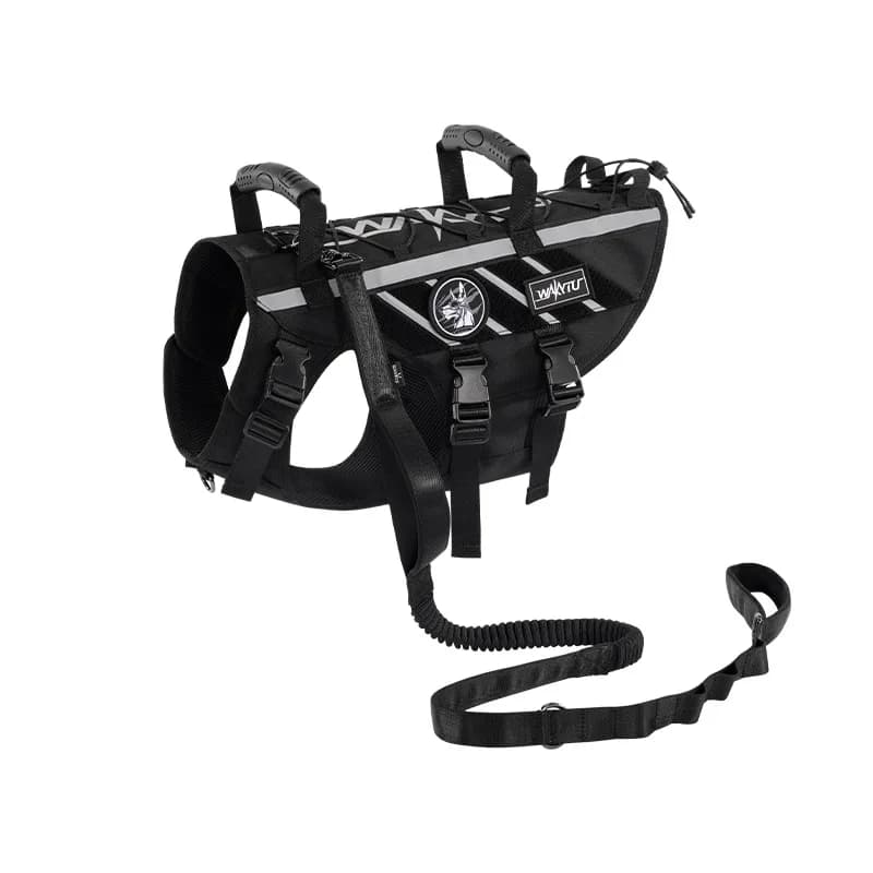 Tactical Dog Harness for Medium Large Dogs, Outdoor Vest Harness with Leash, Heavy Duty Pet Walking Gear