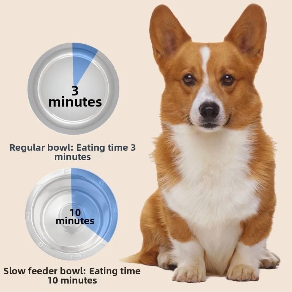 Stainless Steel Pet Slow Feeder Bowl Anti-Slip Durable Cat Food Dish Anti-Choke Easy Clean Dog Feeding Bowl for Cat Dog