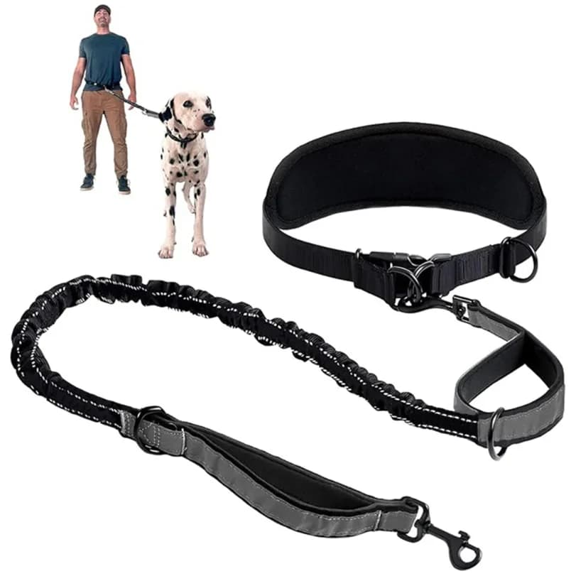 Hands Free Dog Leash Dog Waist Leash With Lumbar Support Belt Multifunctional Extendable Dog Leash Reflective Bungee Leash Black