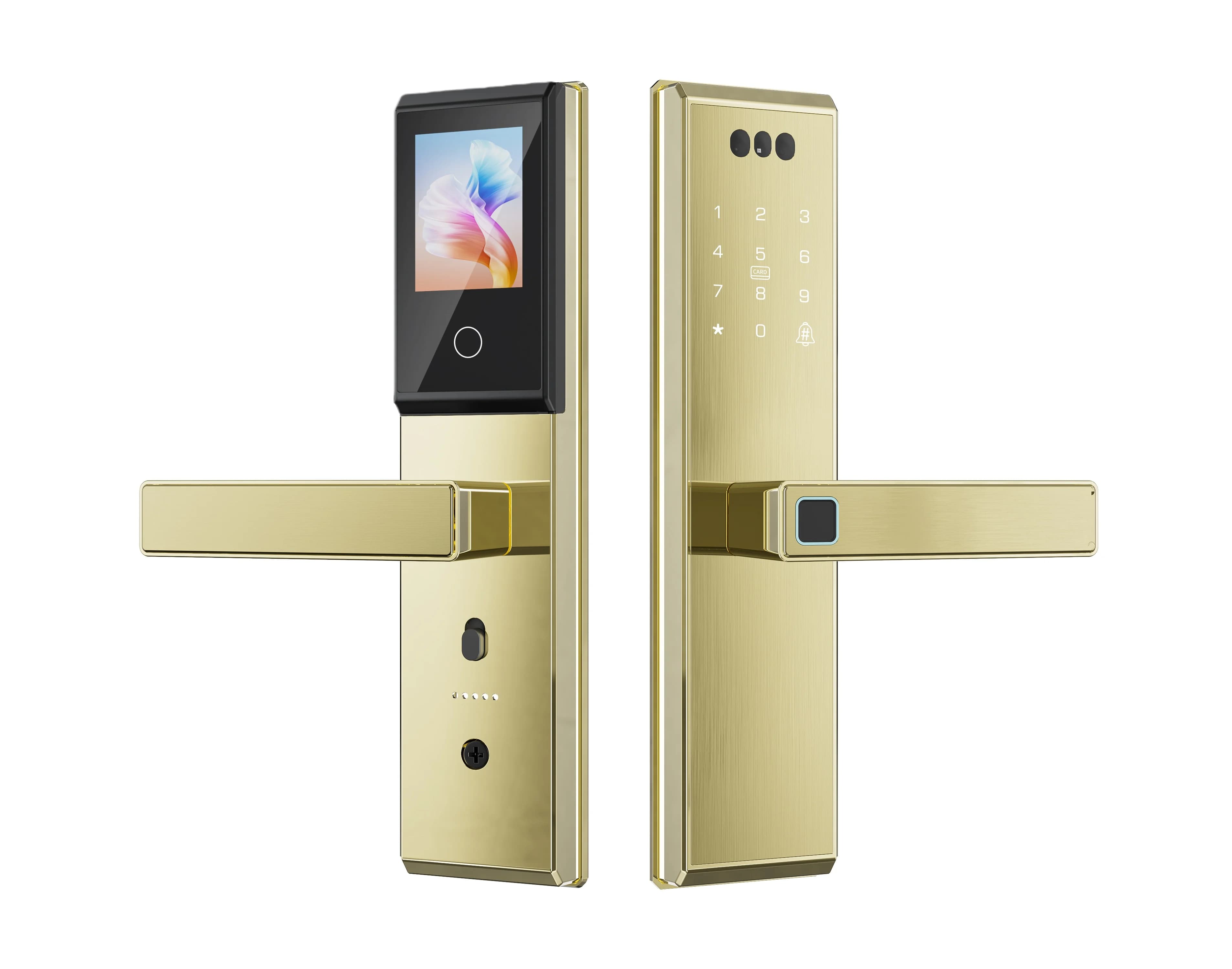 Serratura Intelligente WiFi Tuya con Sblocco Facciale 3D, Impronta Digitale, Fotocamera, Scheda di Memoria, Archiviazione Cloud, Compatibile con Alluminio e Legno, Abilitata SDK
