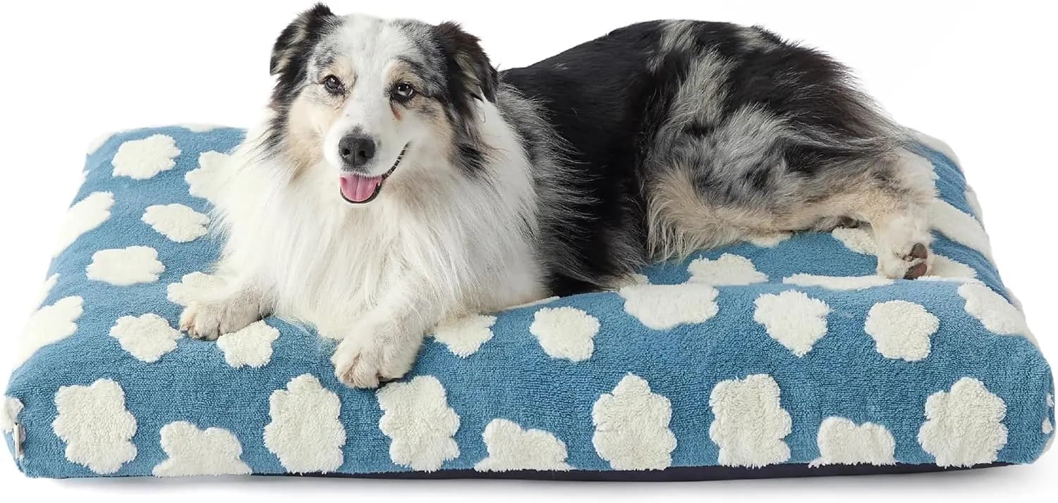 Cuccia Extra Large per Cani con Rivestimento Rimovibile e Lavabile, Imbottitura in Schiuma Spessa, Base Antiscivolo per Uso Interno