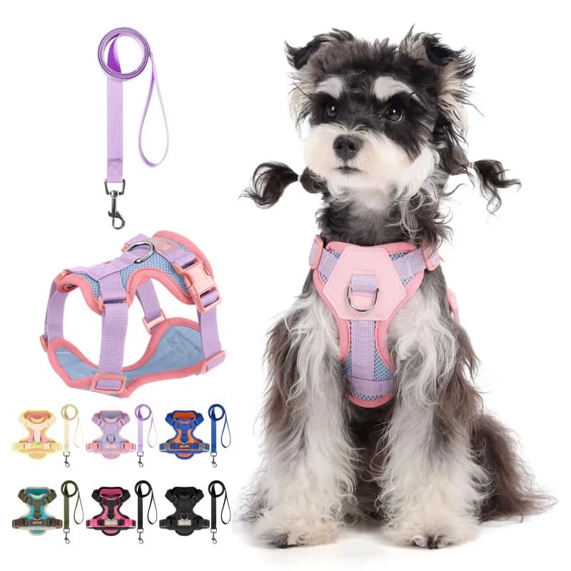 Outdoor No Pull Dog Harness Leash Set Adjustable Dog Walking Harness Pet Supplies Breathable Cat Dog Chest Strap Traction Rope