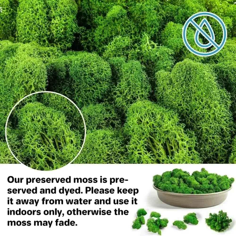 1Set Artificial For Potted Plants Simulation Moss Flower Moss Home Garden Decors Green Moss DIY Crafts 30/50g Fake Grass