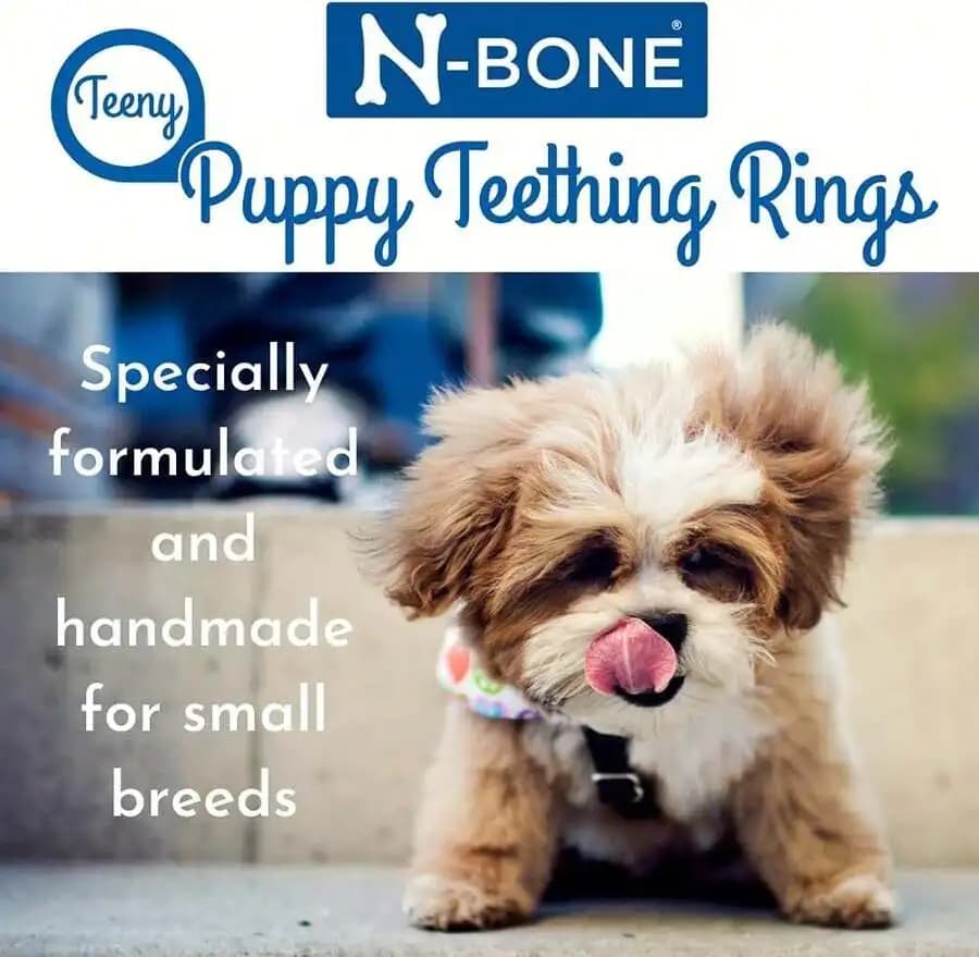 N-Bone Teeny Puppy Teething Rings Chicken Flavor 7 Count / 4.6oz