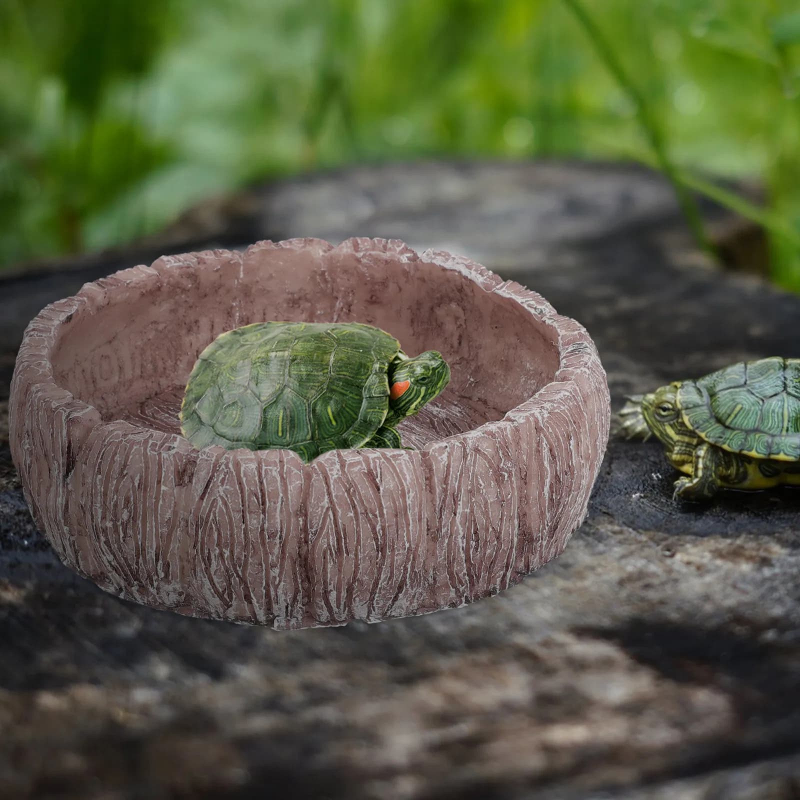 Ciotola per Alimentazione Rettili in Resina, Piatto per Cibo e Acqua per Gechi, Lucertole, Serpenti, Tartarughe, Ragni, Terrario Decorativo, Mangiatoia per Animali Domestici