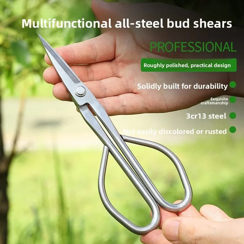Fresh leaf scissors Tools for bonsai Scissors for branches Extended gardening scissors in stainless steel Soft leaves germs