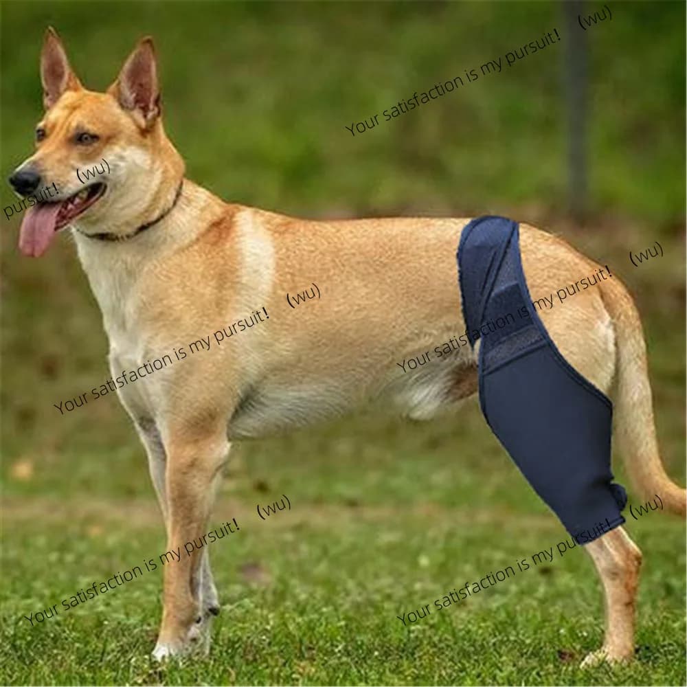 Equipaggiamento protettivo per fratture Bretelle per le gambe anteriori e posteriori per animali domestici Assist ginocchiere per cani Copertura protettiva per lesioni alla coscia del cane