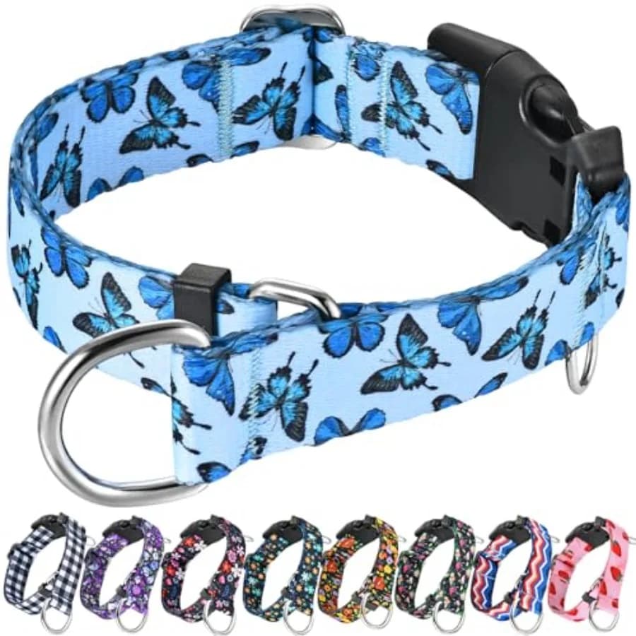 Martingale Dog Collar with Buckle Adjustable Nylon Cute Girl No Pull Anti Escape Training Dog Collars