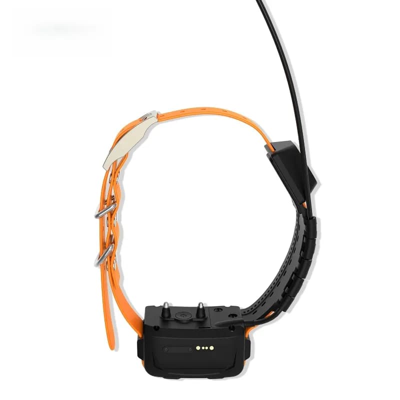 Collare GPS per Cani con Rete 4G, Localizzatore GPS in Tempo Reale per Cani da Caccia