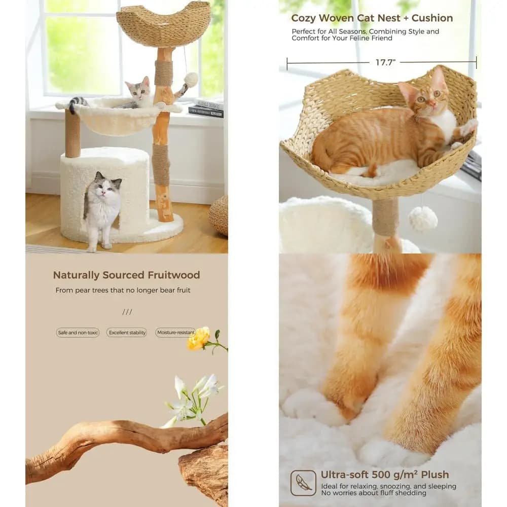 lussuoso albero per gatti da interno con vero legno e bellissimo condominio accogliente per felini di grandi dimensioni