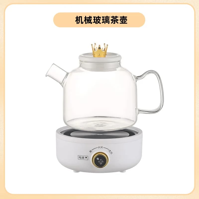 110 V Electric Health Kettle: Multifunction Teapot and Water kettle, Automatic temperature control for home use