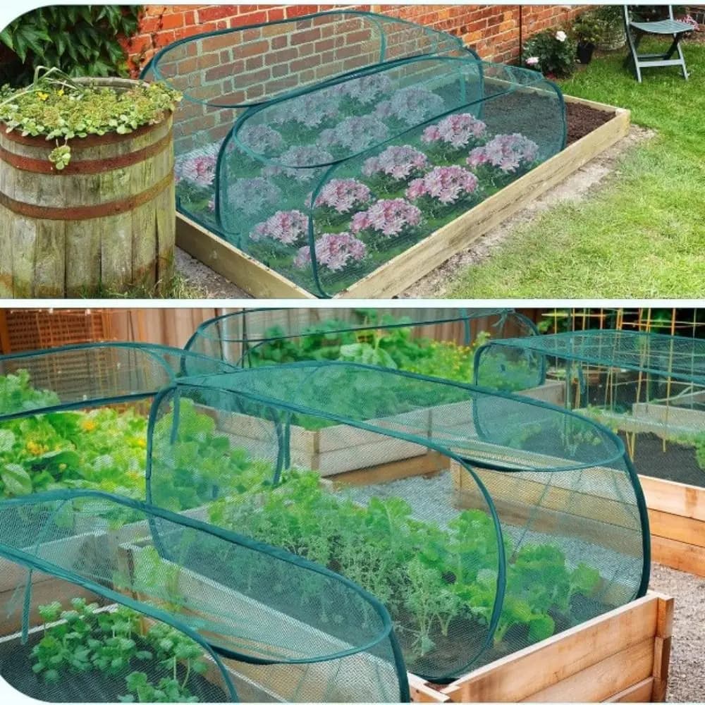 Foldable mesh for plant protection Bird control with ground picks Mesh plant cage Raised beds Garden file covers