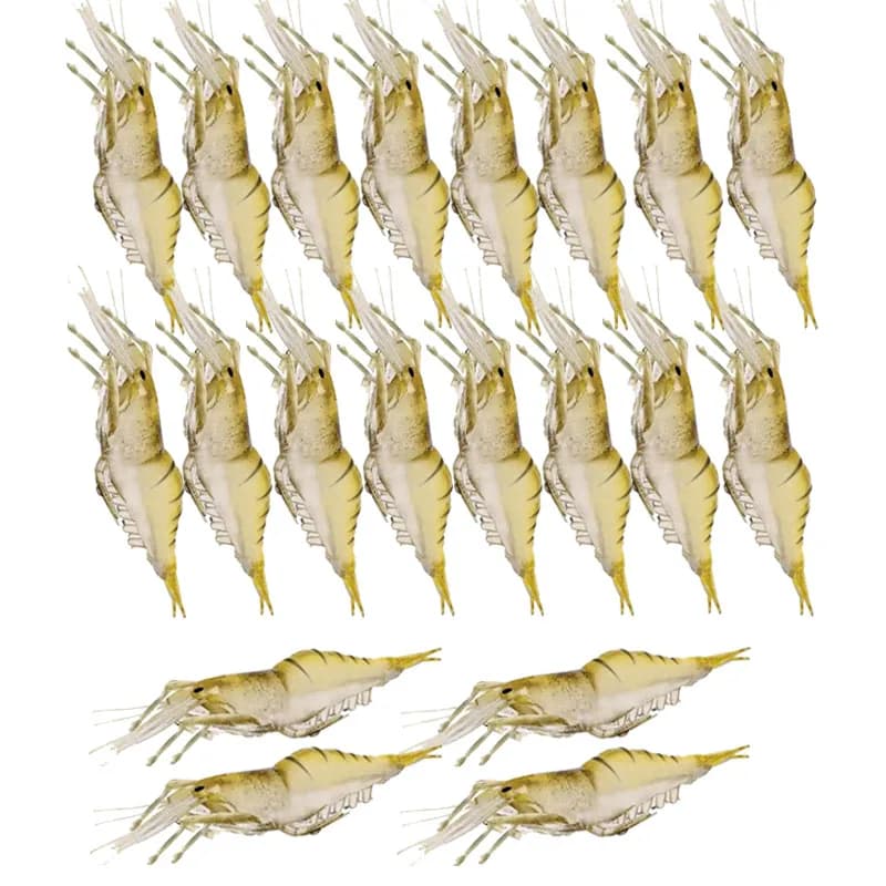 WEIHE 20PCS Isca Artificiale Morbido Gamberetti Richiamo Verme Per Esca Da Pesca 1.3g/4 centimetri Gancio Affilato Crankbait Esche Silicone Shone Gamberi Esca