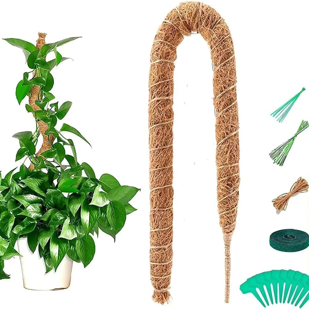 Horticultural Coconut Palm Stick Green Luo Potted Plant Fixed Plant Climbing Rod Support Coconut Palm Climbing Rod Moss Rod