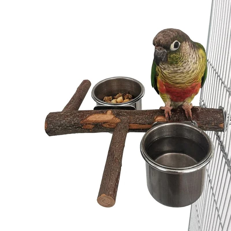 Ciotola per pappagalli per uccelli in acciaio inossidabile Ciotola rotonda per piccoli animali domestici Supporto in legno naturale Cibo Acqua potabile Ciotola per uccelli Forniture per uccelli
