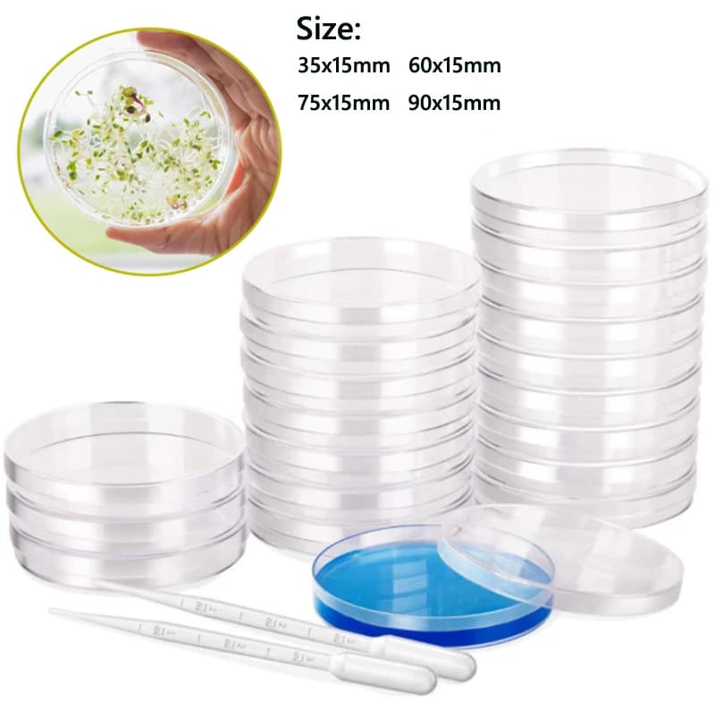 Piastre Petri in plastica da 5-10 pezzi Piatto per coltura cellulare da 35-90 mm Resistente alle alte temperature con 10 pipette di trasferimento in plastica da 3 ml