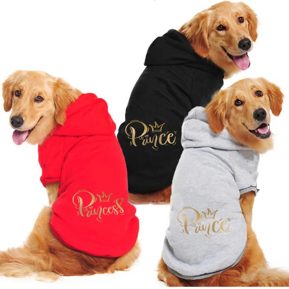 moda grandi felpe con cappuccio per cani costom abiti firmati autunno inverno ragazzo ragazza cucciolo gatto principessa dorata principe articolo stampato xs-9xl