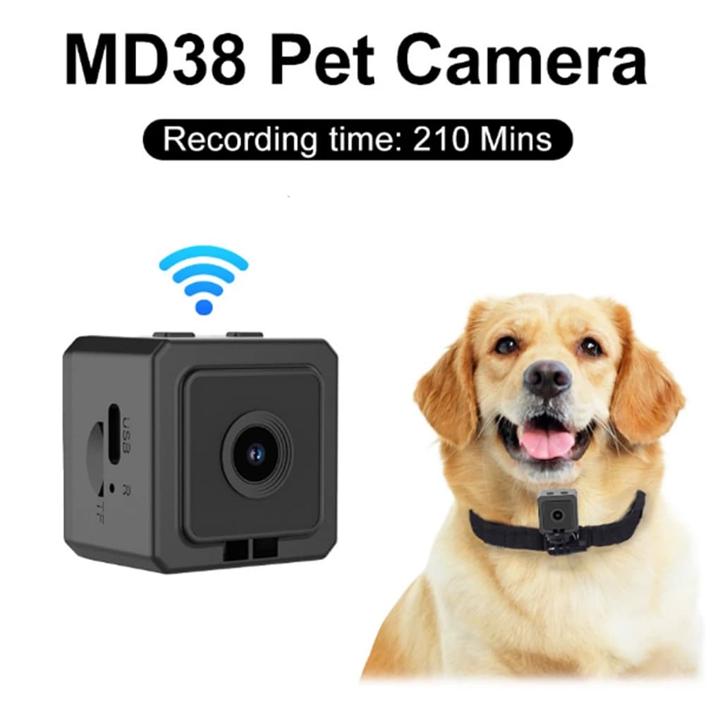 Registratore Video L60A 1080P HD per Collare di Animali Domestici, Telecamera WiFi Wireless Magnetica Tascabile per Cani e Gatti