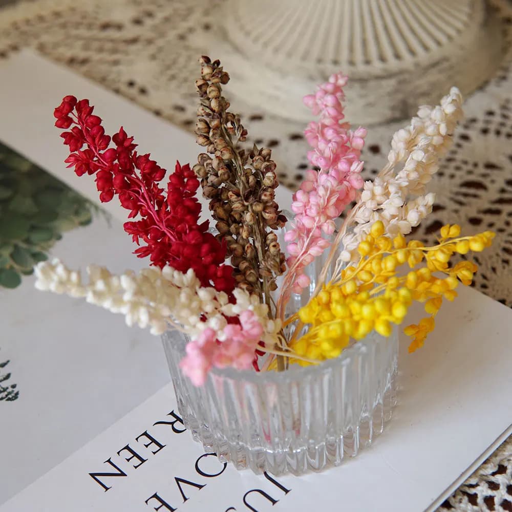 Vero Tintura Vegetale di Grande Mais, Frutta Secca Naturale, Materiali per Artigianato Fatto a Mano, Resina, Aromaterapia, Materiale per Candele