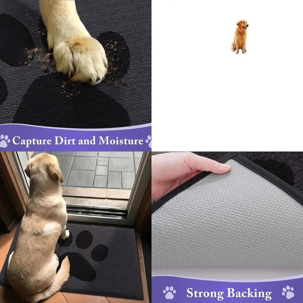 Non-slip Absorbent Mat for Interior, Low Profile Washable, Ideal for Fangose, 150x89 cm, Black