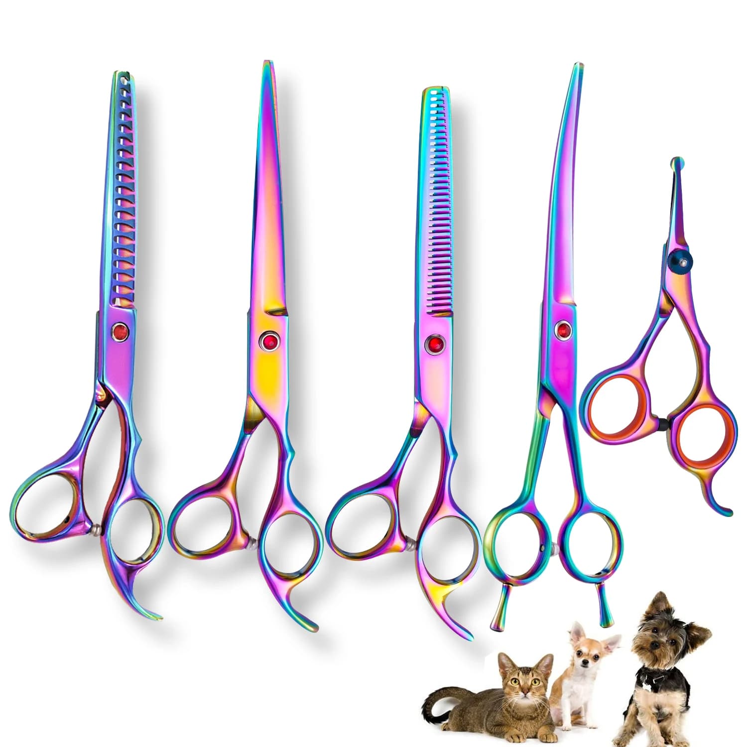 Professional scissors for grooming dogs Curved and straight shears, scissors to thin and smooth hair for grooming dogs and cats