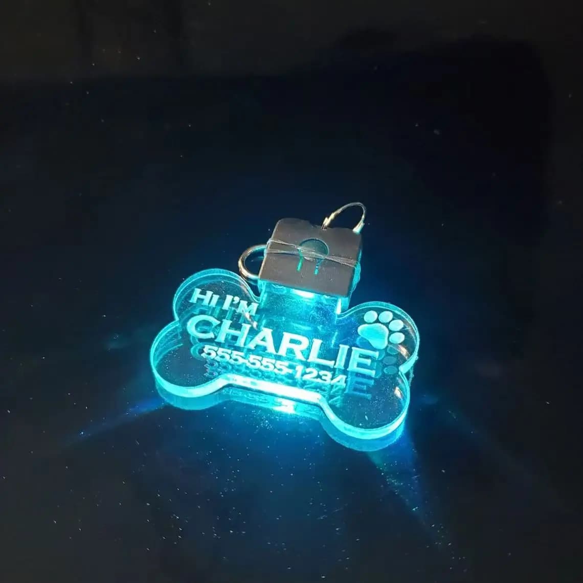 Custom Laser Engraved Acrylic Led Pet Identification Label - Light pendant for illuminated safety dogs for night walks for dogs