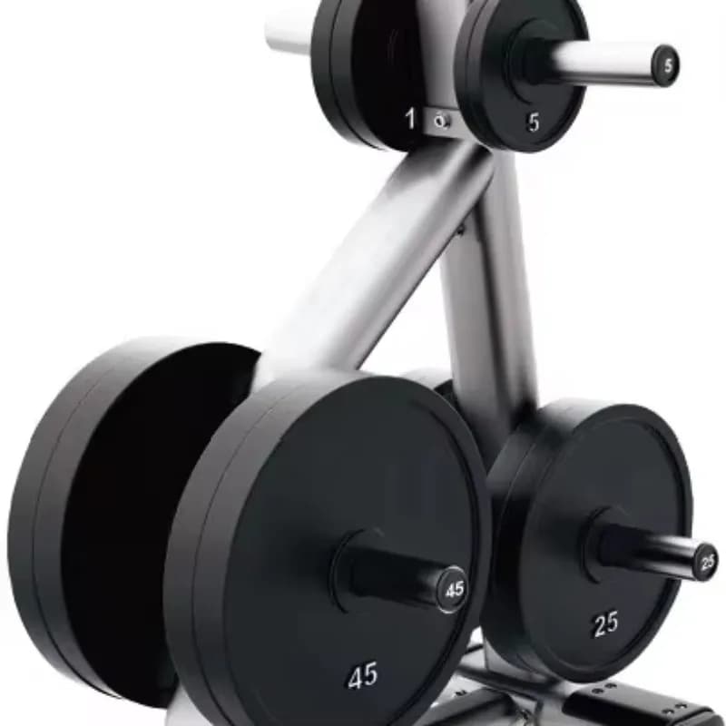 YTYIN Rack Commercial for Disc Weights, OEM ODM Resistant Steel Structure for Free Cargo Gym Equipment