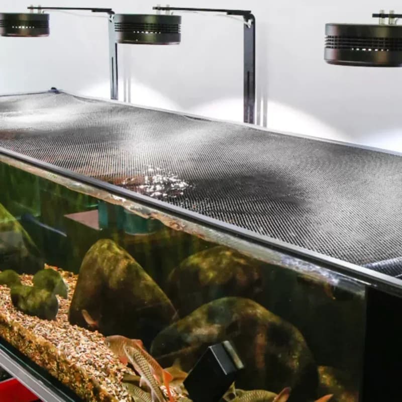 Voonline Fish Tank Rete anti-salto invisibile Piastra di copertura con aspirazione magnetica Deflettore fisso per serbatoio anti-salto