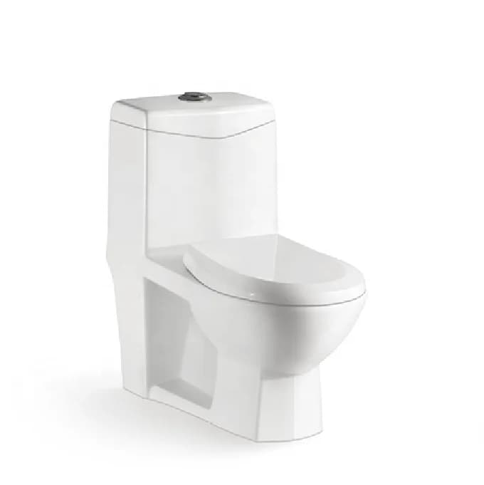 WC a Pavimento, Lussuosi Toilette Chimiche a Pavimento in Vendita
