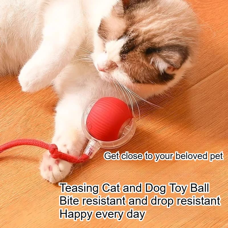 Dog and cat toys, ball, durable, for entertainment, with rope, cat teaser ball, pet accessories, bouncing ball, pet toys with sound