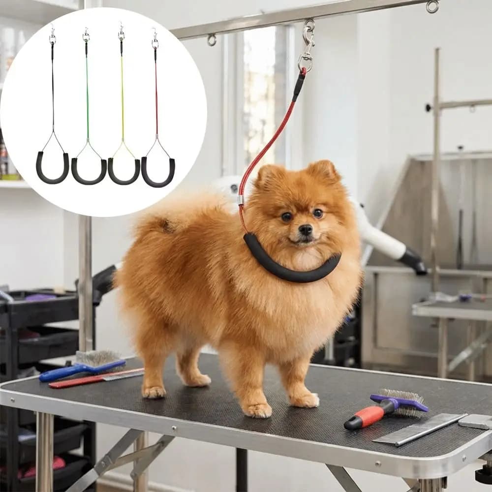 Corda di Contenimento Regolabile per Cani, Imbottita in Morbida Schiuma, Robusta in Acciaio, Guinzaglio Fisso per il Bagno, Anti-morso, Confortevole