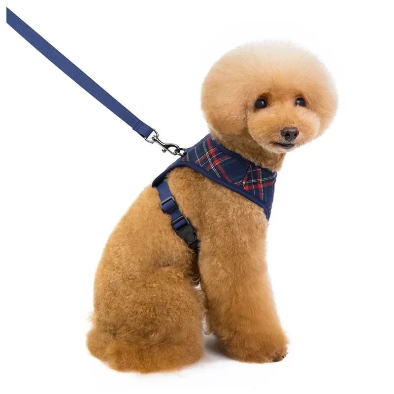 Set guinzaglio per imbracatura scozzese per cani di piccola taglia Gilet per imbracatura regolabile per cuccioli di gatto Bulldog francese Chihuahua Pug Piombo da passeggio all'aperto