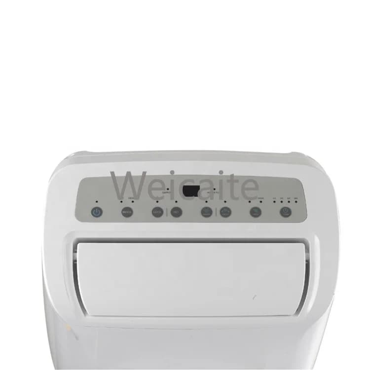 Deumidificatore portatile con connessione di drenaggio esterno R290 a basso rumore