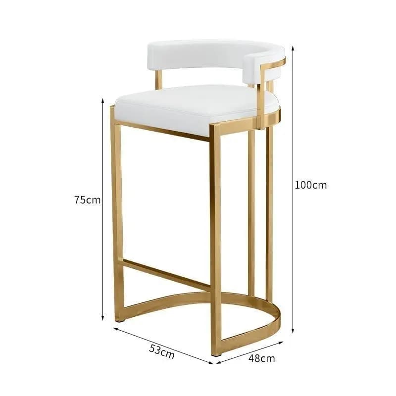 Sgabello da Bar Alto in Ferro con Schienale, Sedia da Bar in Legno Curvato, Stile Nordico Lusso Leggero, Sedia Alta Semplice