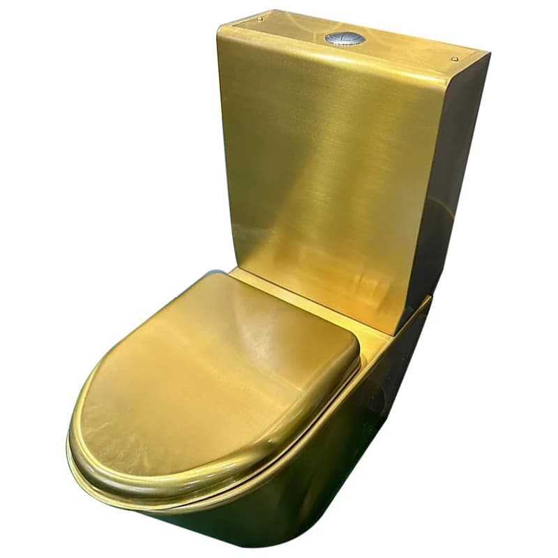 Copriwater in Acciaio Inox 304 Oro Spazzolato, Moderno, di Piccole Dimensioni, Facile da Pulire, Installazione Semplice, per Uso Commerciale