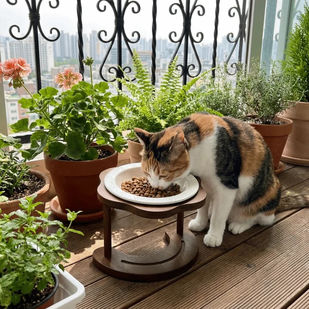 High Foot Ceramic Cat Bowl Detachable Anti Slip Elevated Cat Water Bowl Anti Overturning Flower Shaped Pet Water Food Bowl