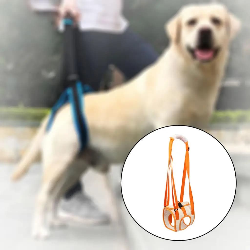Sollevatore portatile per cani per le gambe posteriori, imbracatura di sollevamento per supporto dell'anca per aiutare gli animali domestici