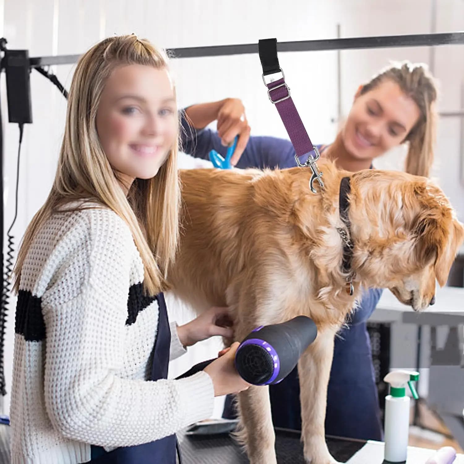 Guinzaglio per cani a 2 pezzi con accessorio da braccio, cinturino di estensione regolabile con anello per animali domestici