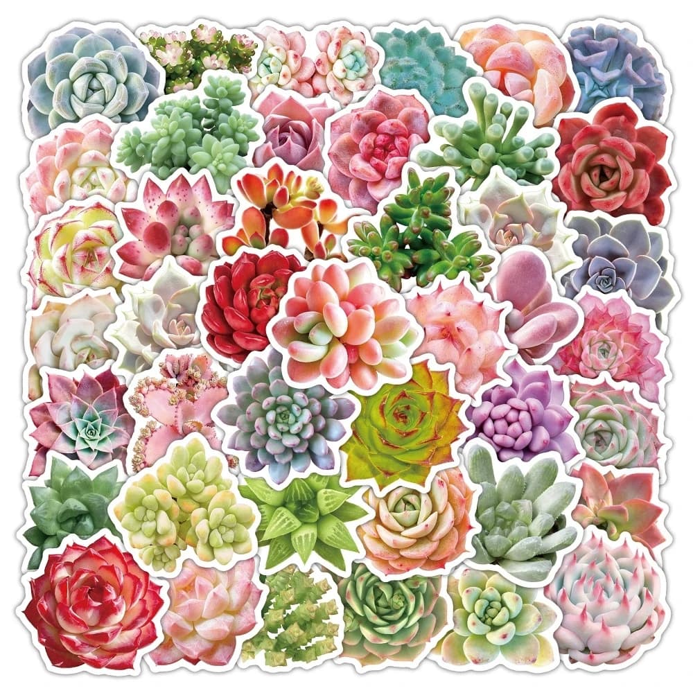 50 Pcs Plant Succulent Graffiti Stickers Cute Fresh Waterproof Vinyl Decals for Water Bottle Laptop Journal Stationery Notebook