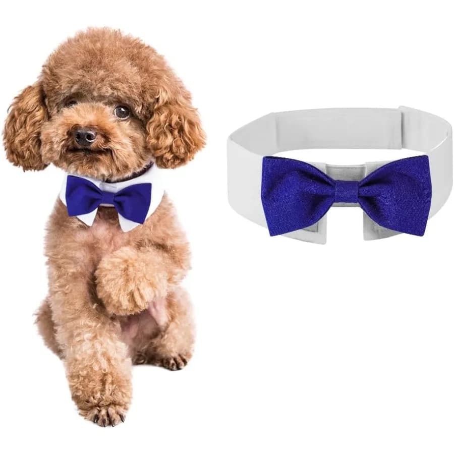 Elegante papillon per cani Simpatico papillon da smoking con colletto bianco regolabile per animali domestici formali, perfetto per matrimoni di San Valentino e compleanni