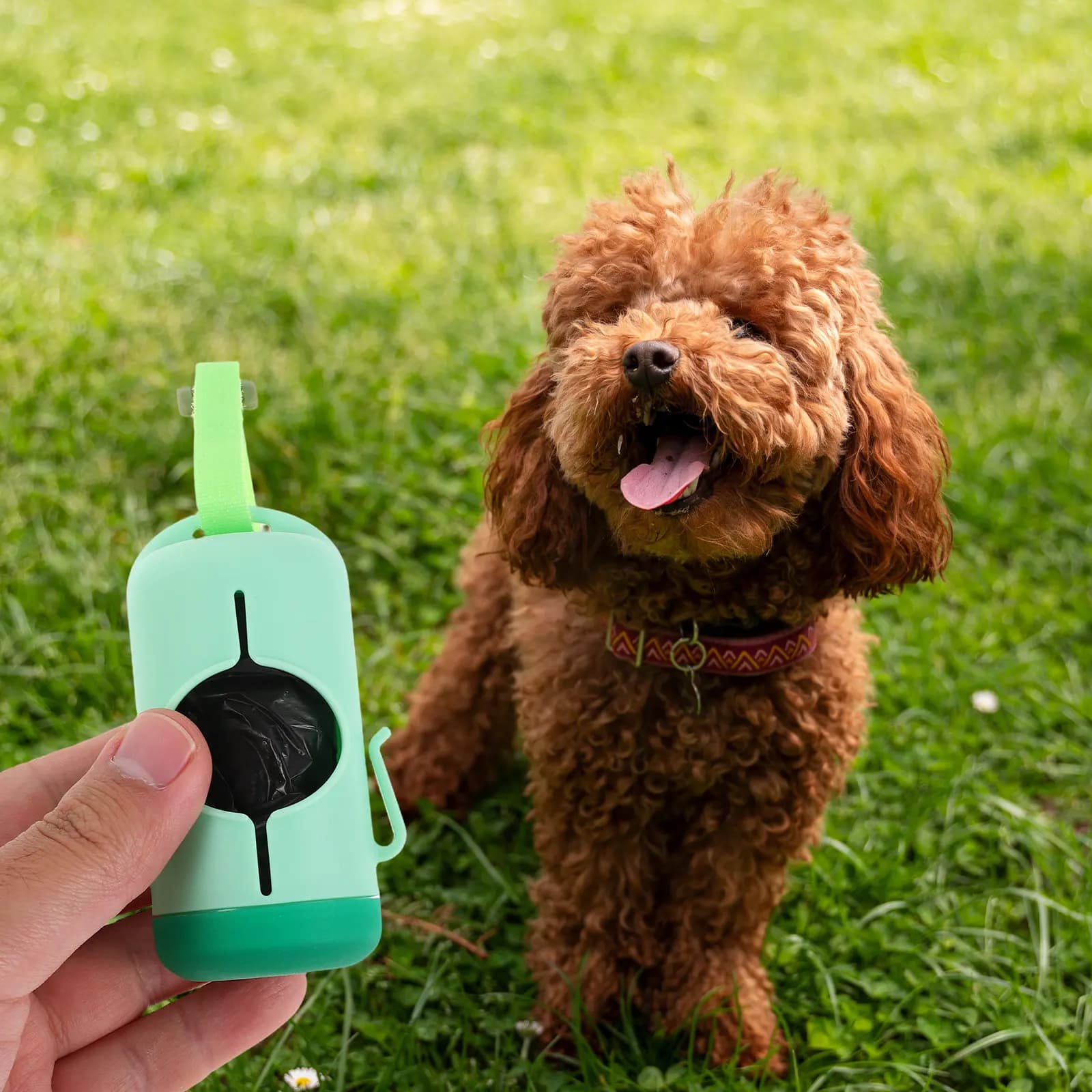 2Sets Dog Poop Bag Holder Portable Lightweight Waste Bag Dispenser Large Capacity Leash Accessory Outdoor Pet Cleanup Tool