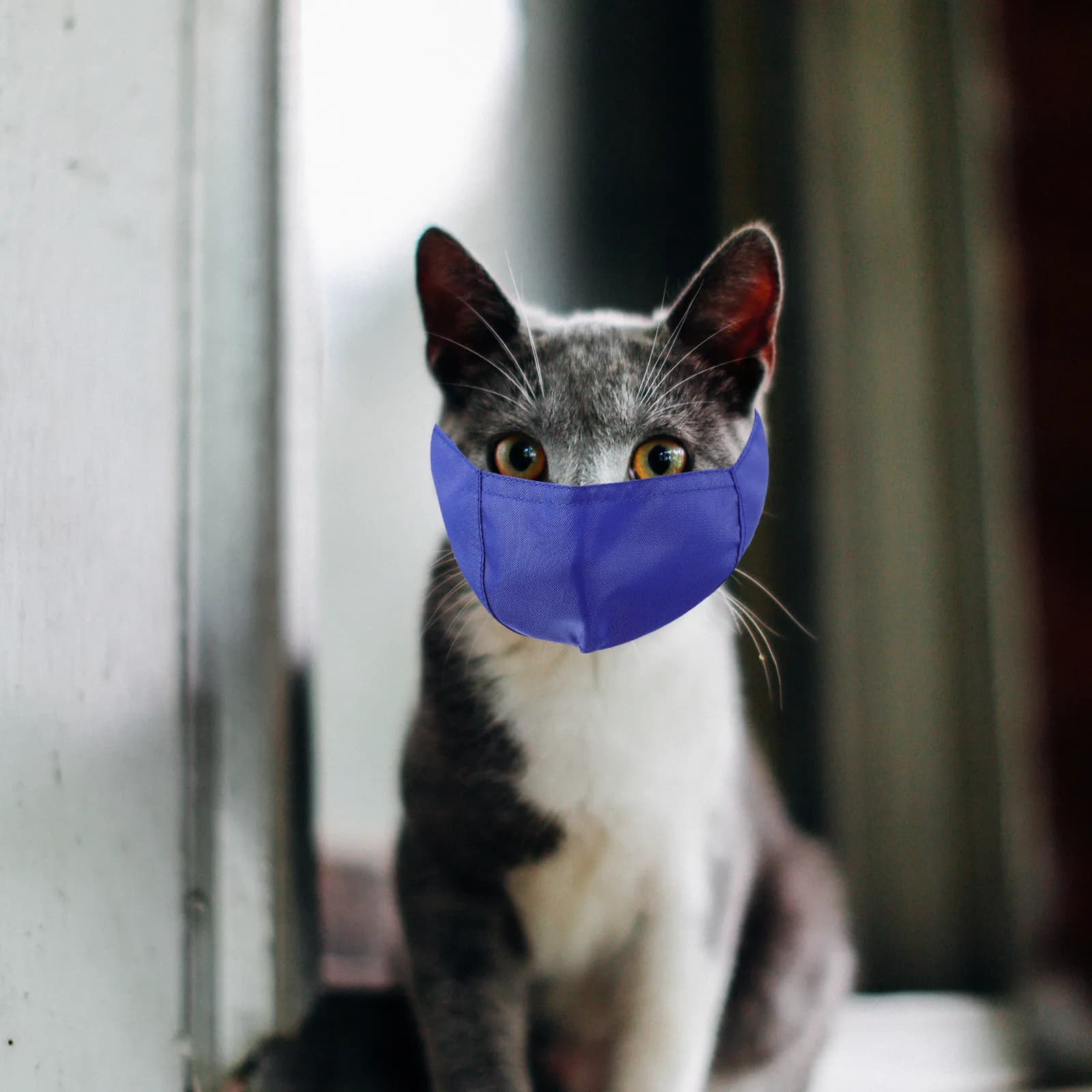 Maschera Anti-Morso per Gatti, Coprimento Traspirante in Nylon, Museruola per Toelettatura, Bagno e Iniezioni, Accessorio Anti-Leccamento per Animali Domestici