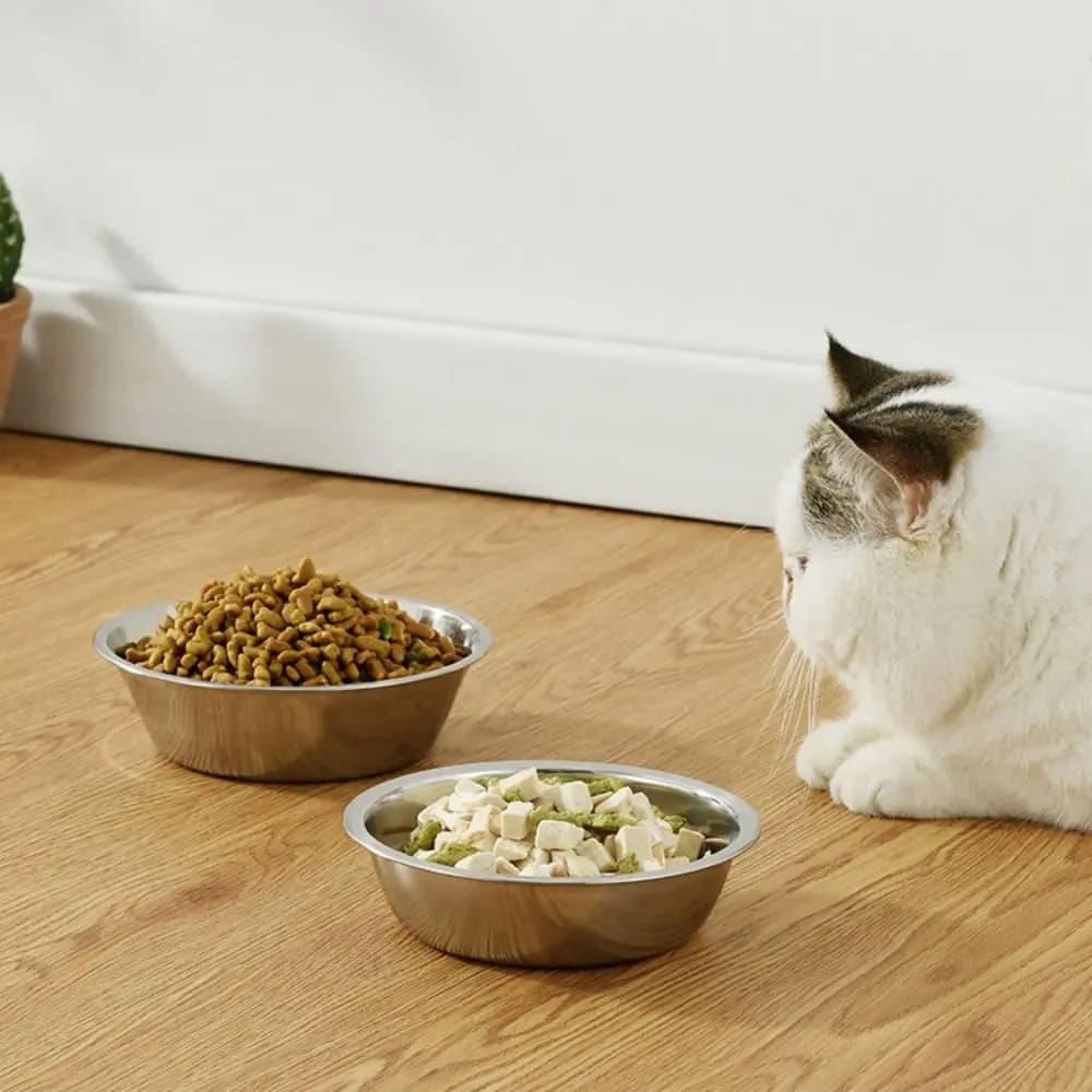 Multifunction Large Capacity Dog Bowl Non-rust Silver Cat Feeder Stainless Steel Pet Food Container Indoor