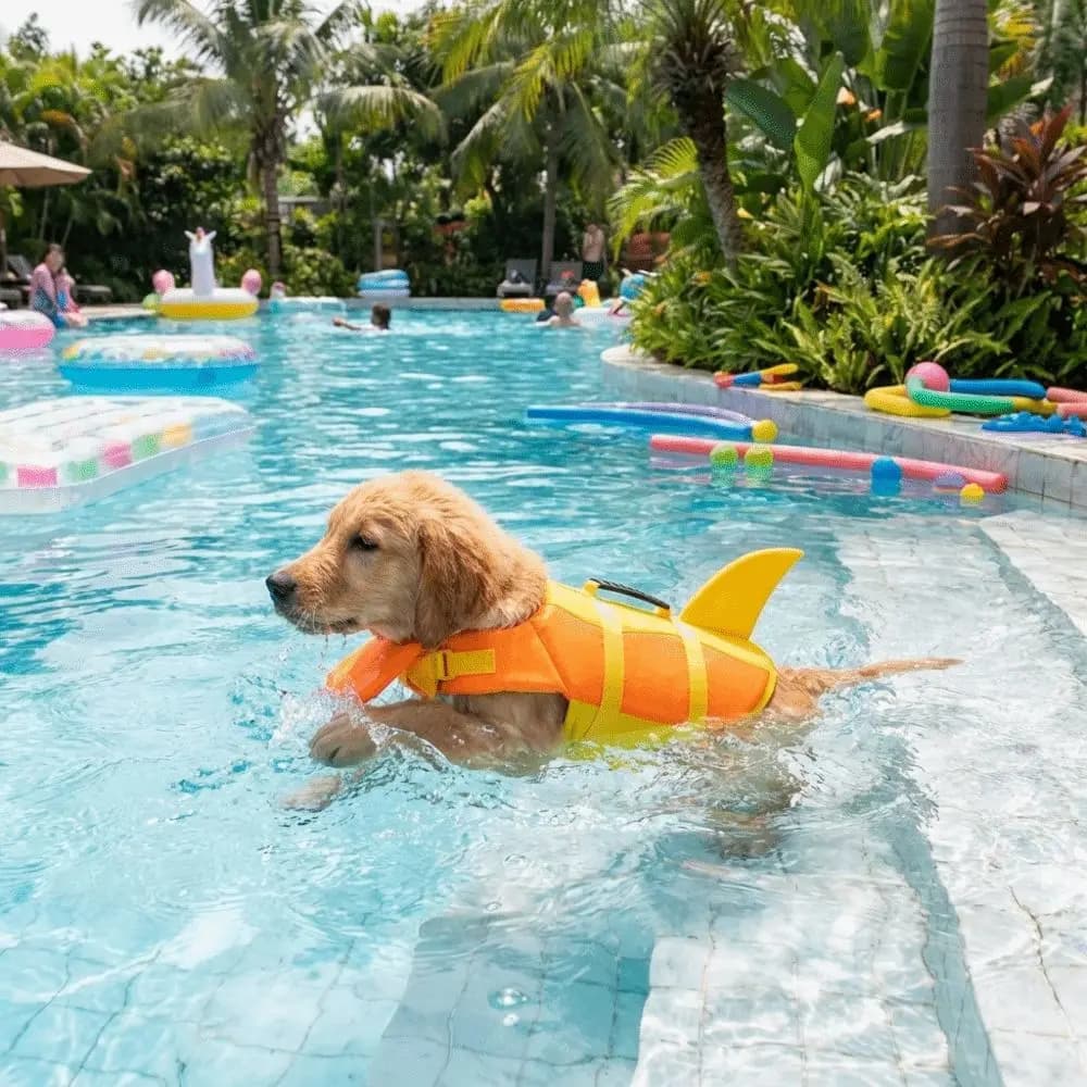 Shark Shape Dog Life Vest Superior Buoyancy High Visibility Pet Life Jacket Tear-resistant Adjustable Dog Swimming Suit